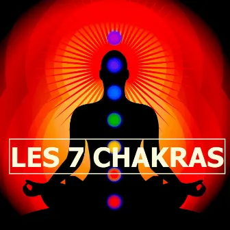 Les 7 Chakras: Chansons de Détente et Relaxation pour Yoga, Méditation Pleine Conscience, Anti Stress et Spiritualité, Chakra Racine by Unknown Artist