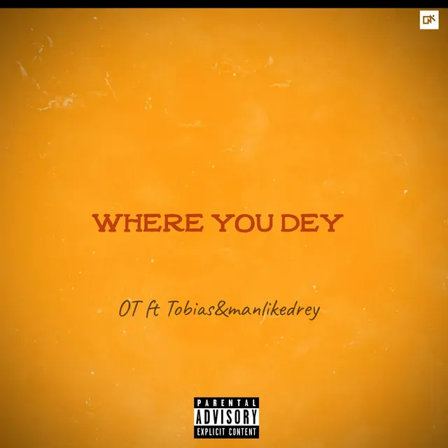 Where you dey