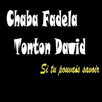 Si tu pouvais savoir by Chaba Fadela