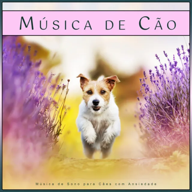 Música Para Cães Adormecidos