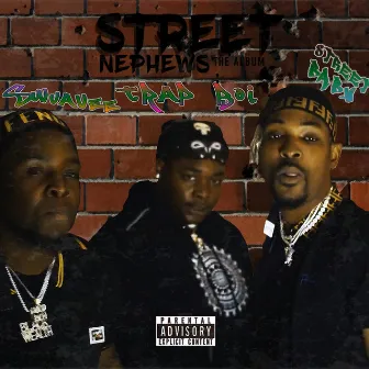 Street Nephews the Album by Street Nephews