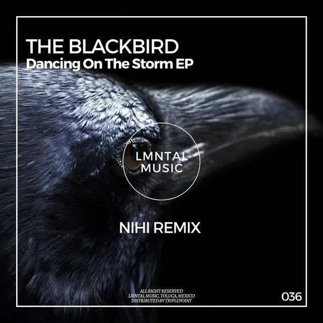 Dancing On The Storm - Nihl Remix