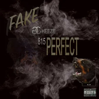 Fake (2021 Remastered Version) by Gcheeze