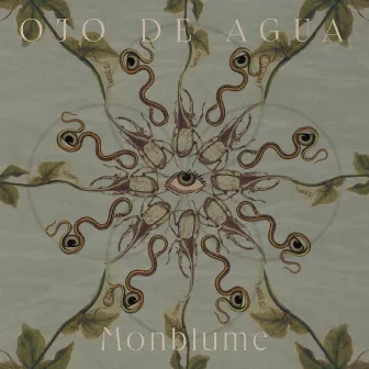 Ojo de Agua by Monblume