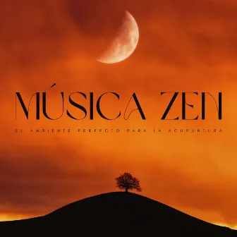 Música Zen: El Ambiente Perfecto Para La Acupuntura by Maestro Zen