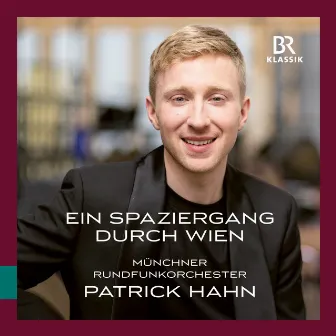 Ein Spaziergang durch Wien (Live) by Patrick Hahn