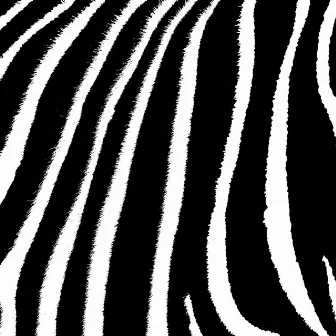 Zebra by Wamoo