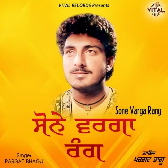 Sone Varga Rang by Pargat Bhagu