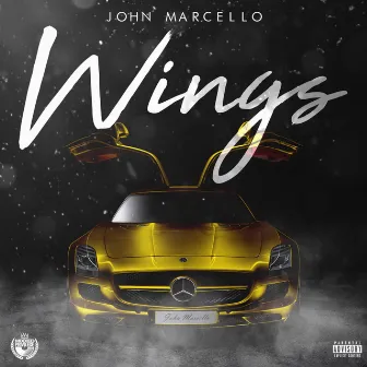 Wings by John Marcello