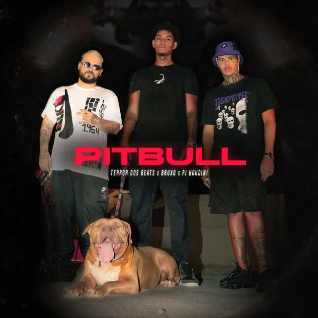 Pitbull