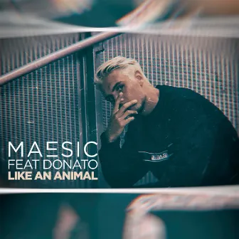 Like An Animal by Maesic