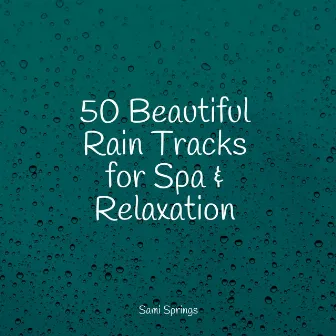 50 Loopable Rain Sounds for Meditation and Spa by Rain Sounds XLE Library