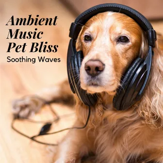 Ambient Music Pet Bliss: Soothing Waves by Blissfulness