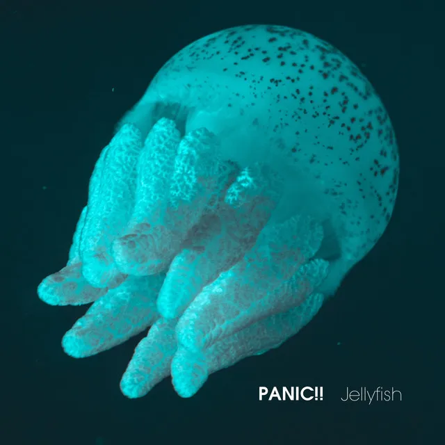 Jellyfish