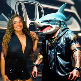 Banco do Honda by Shark Bo$$