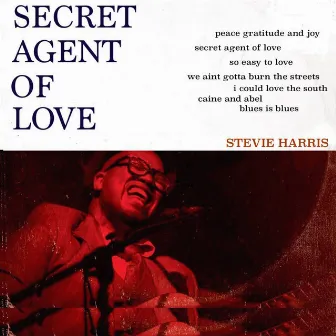 Secret Agent of Love by Stevie Harris