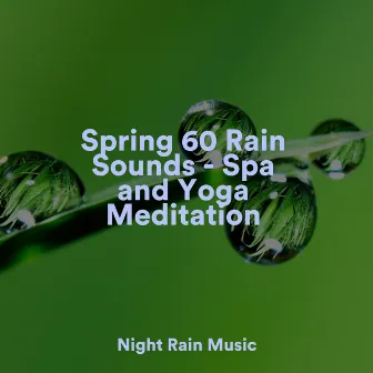 Spring 60 Rain Sounds - Spa and Yoga Meditation by Lluvia