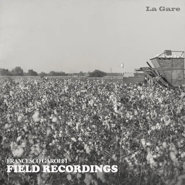 Field Recordings