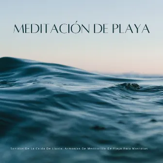 Sonidos De La Caida De Lluvia: Armonías De Meditación De Playa Para Mascotas by Frutas de lluvia