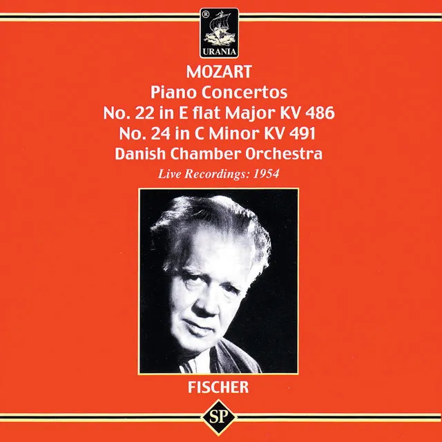 Piano Concerto No. 24 in C Minor, K. 491: II. Larghetto