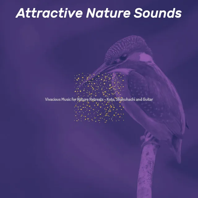 Attractive Nature Sounds