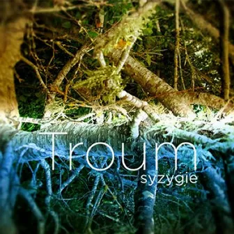 Syzygie by Troum