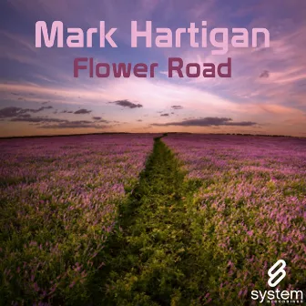 Flower Road by Mark Hartigan