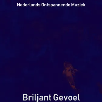 Briljant Gevoel by Nederlands Ontspannende Muziek