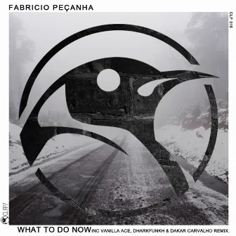 What To Do Now by Fabricio Pecanha