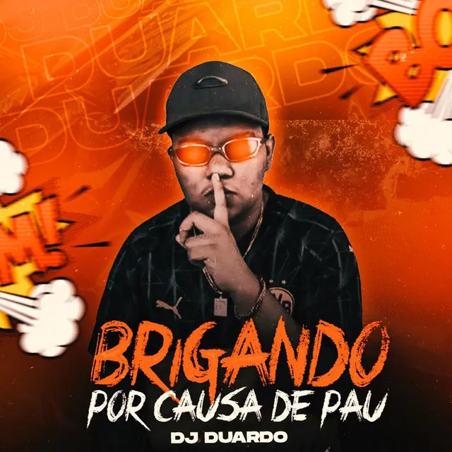 Brigando por Causa de Pau