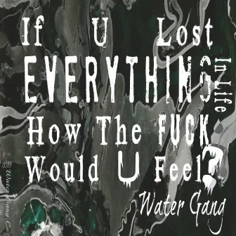 If U Lost Everything in Life How the Fuck Would U Feel? by Water Gang