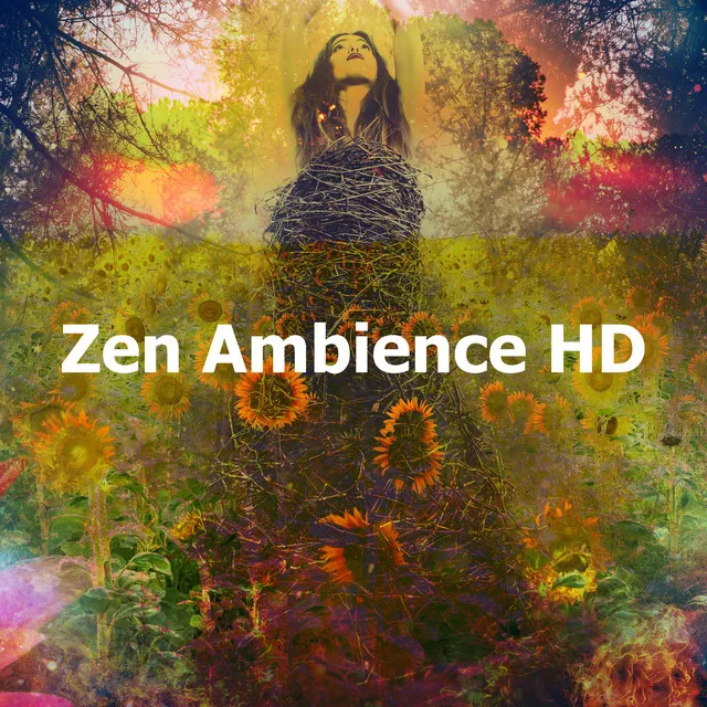 Zen Ambience HD