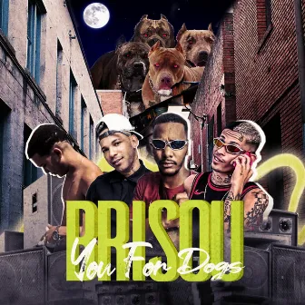 Brisou You For Dogs by Junior MTX