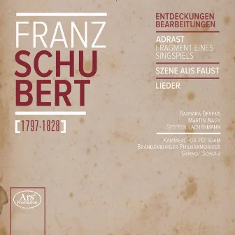 Schubert: Entdeckungen Bearbeitungen by Brandenburger Symphoniker