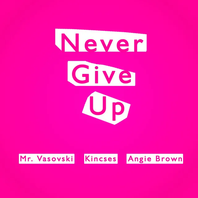 Never Give Up - Mr. Vasovski Deepdisco Mix