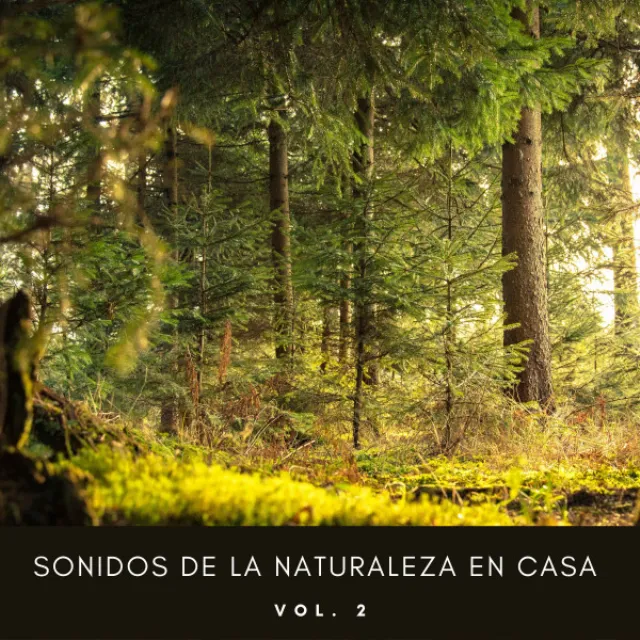 Naturaleza de Suecia