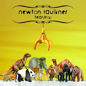 Teardrop by Newton Faulkner