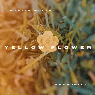 Yellow Flower by Martin Wolff