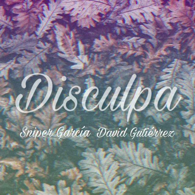 Disculpa