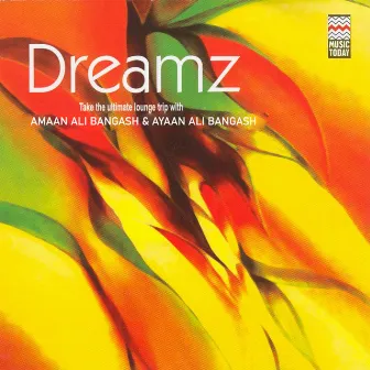 Dreamz by Ayaan Ali Bangash