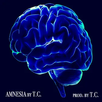 Amnesia by 