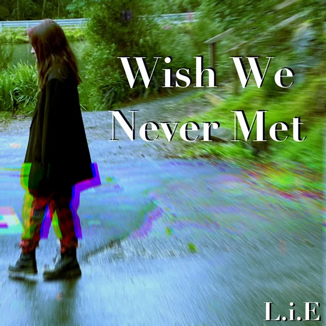 Wish We Never Met