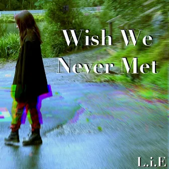 Wish We Never Met by L.i.E