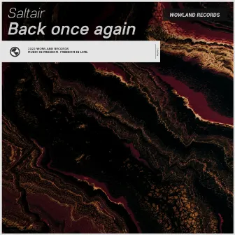 Back once again by Saltair