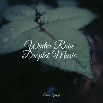 Winter Rain Droplet Music by Chakra Meditation Universe