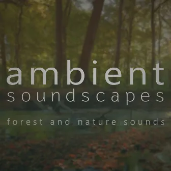 Forest and Nature Sounds by Ambient Soundscapes