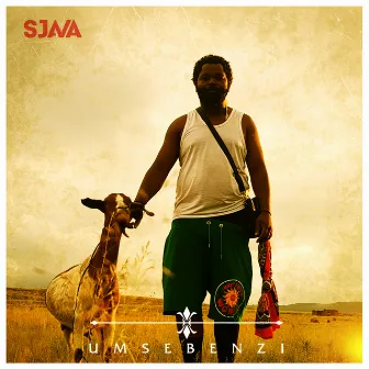 Umsebenzi (Gold Deluxe) by Sjava