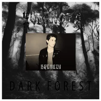 Dark Forest by Brenozy