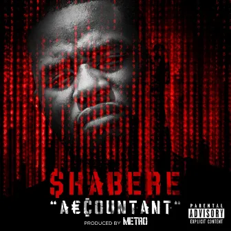 Accountant by Shabere