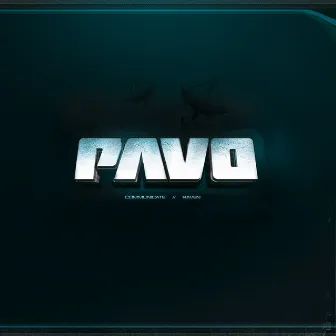 Communicate by Pavo